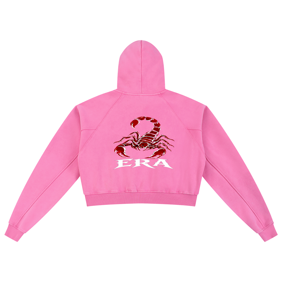 Snow Washed Cropped Hoodie